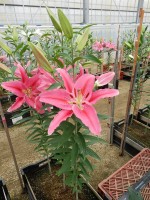 [4300 Vancouver DJ No01.JPG]